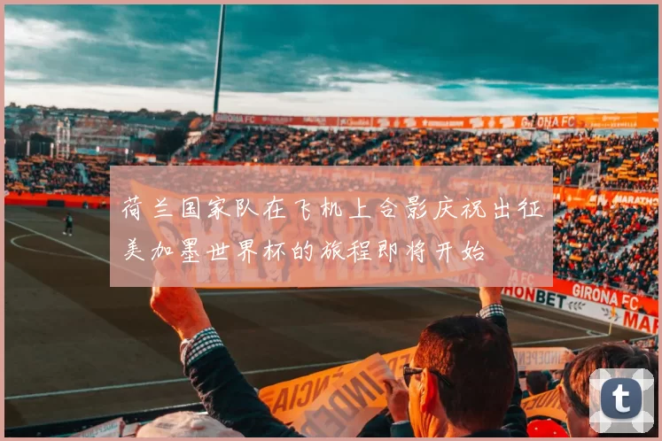 荷兰国家队在飞机上合影庆祝出征美加墨世界杯的旅程即将开始