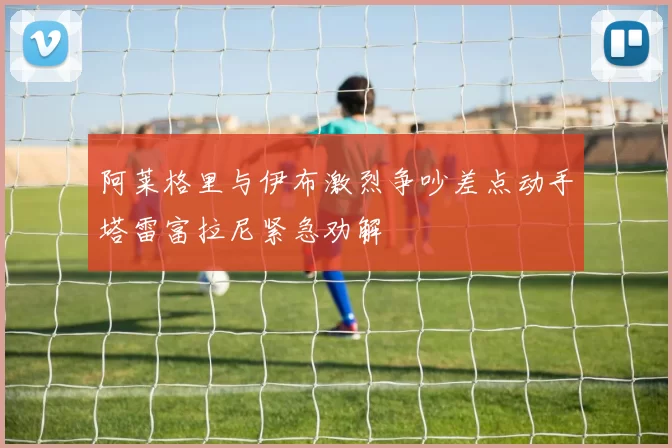 阿莱格里与伊布激烈争吵差点动手塔雷富拉尼紧急劝解