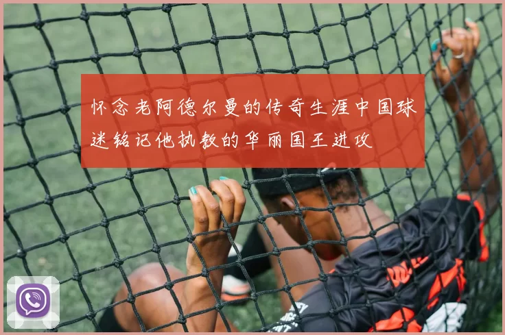 怀念老阿德尔曼的传奇生涯中国球迷铭记他执教的华丽国王进攻